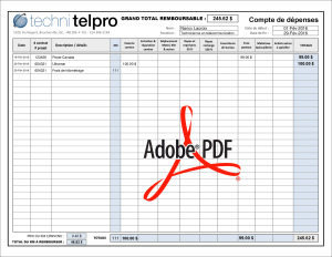 PDF | RAPPORT DE DÉPENSES | # P-M3TE01X-9