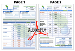 PDF | BON DE COMMANDE - CLIENT | # P-M2DE02X-1