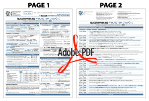 PDF | QUESTIONNAIRE IMPÔTS | # P-M3SE06X-1